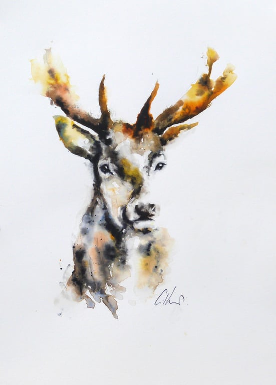 Stag, Lost & Found. Original Watercolour Painting.