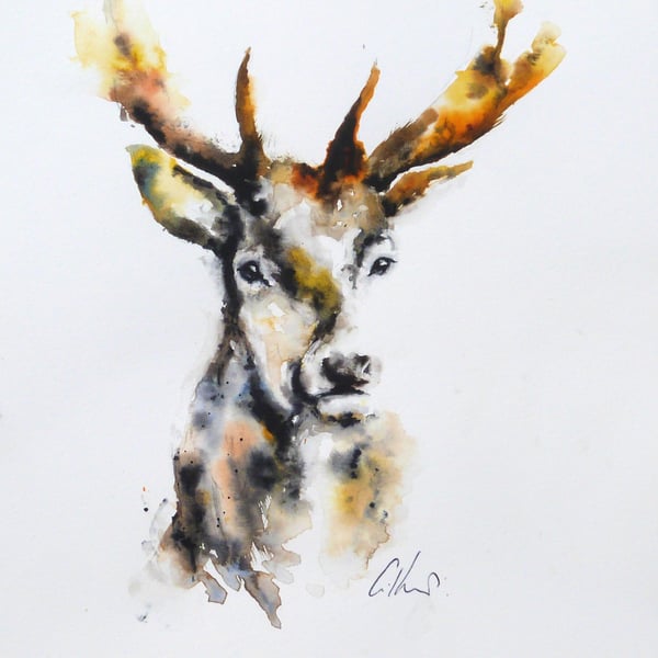 Stag, Lost & Found. Original Watercolour Painting.