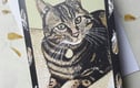 Cards & gift tags