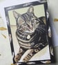 Cat greetings card  Blank inside - Image 1