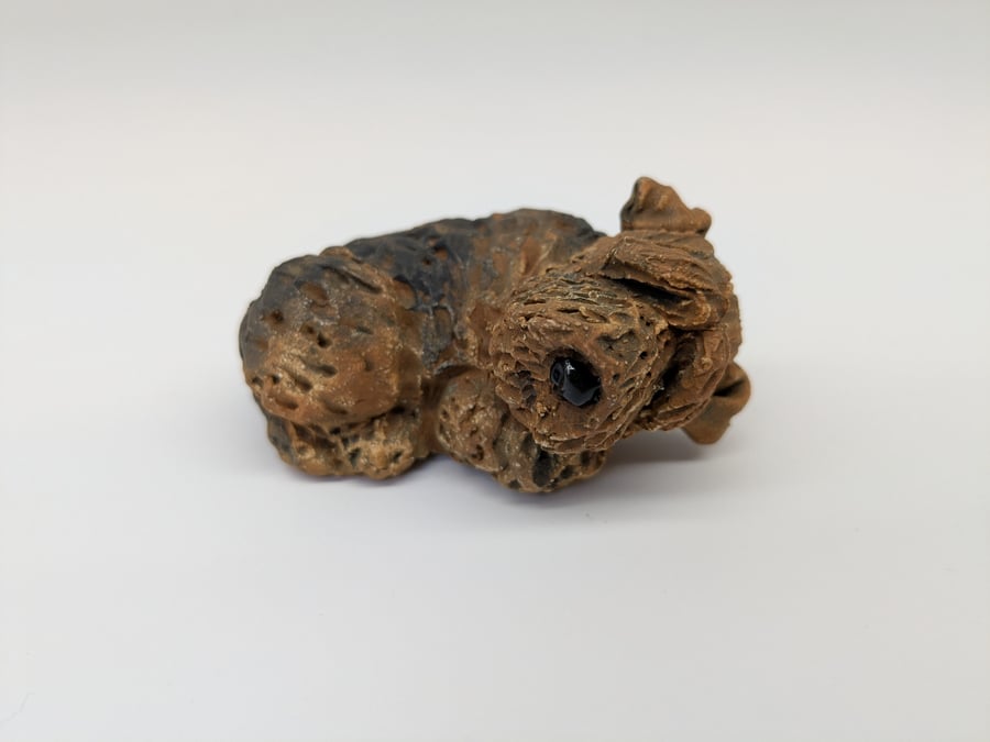 Mini Welsh or Lakeland Terrier 