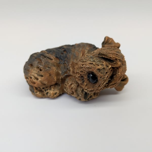 Mini Welsh or Lakeland Terrier 