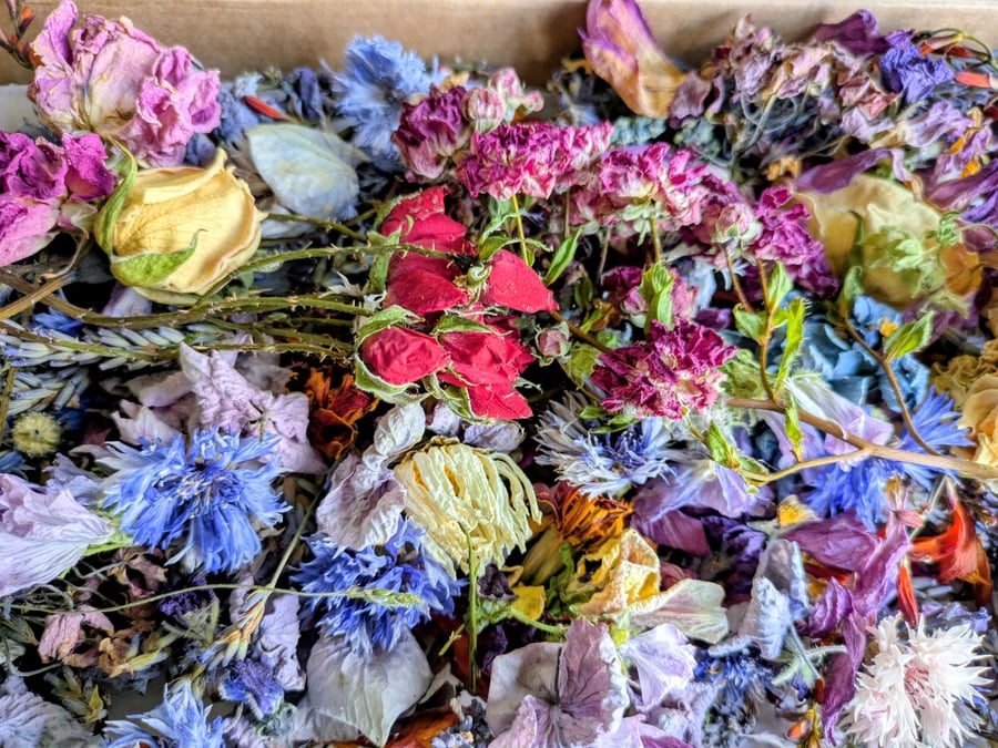 Dried English garden flowers 