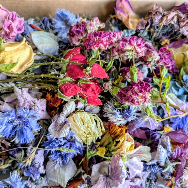 Dried English garden flowers 