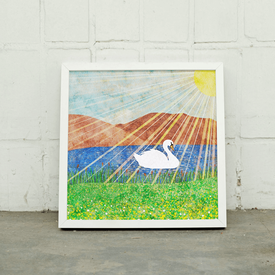 Swan in the Early Morning Sun - Square Art Print