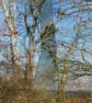 'Winter Day, Cefn Gorwydd' - Image 5