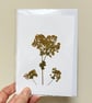 Real Pressed Flower, Lady's Mantle Handmade Card - Image 1