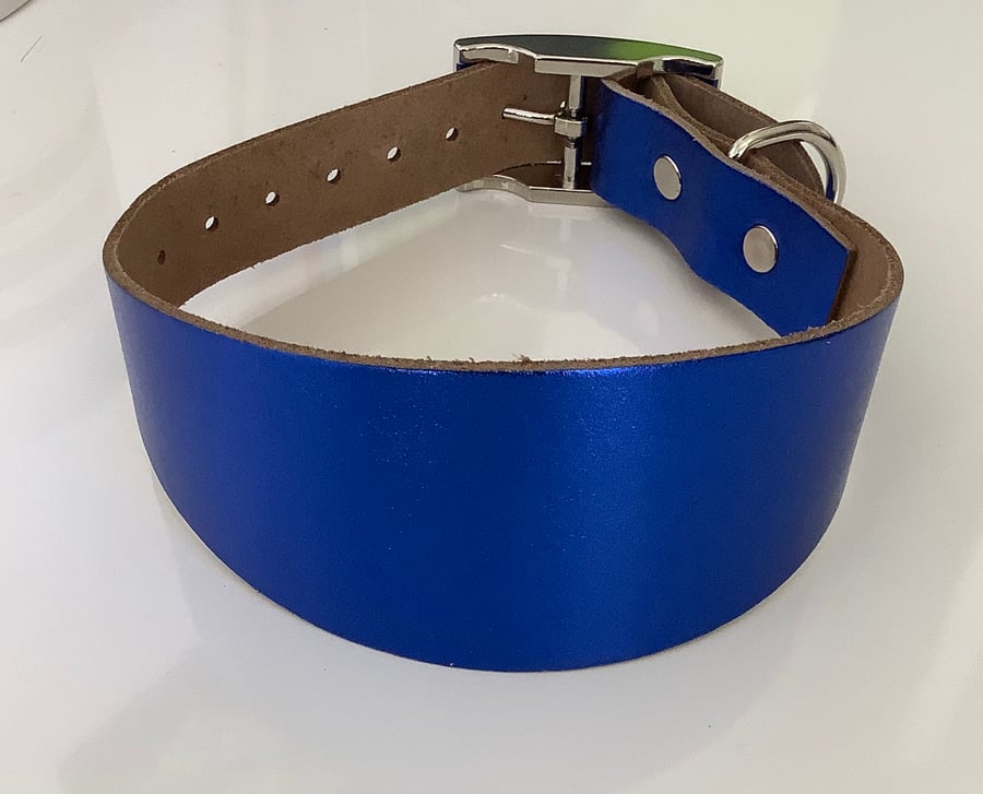 metalic royal blue leather Greyhound Collar
