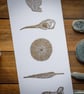 Beachcombing Finds - original linocut print - 42x16cm - Image 3