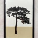 Lewes Pine no.70, Original artwork, A4 size, Yellow