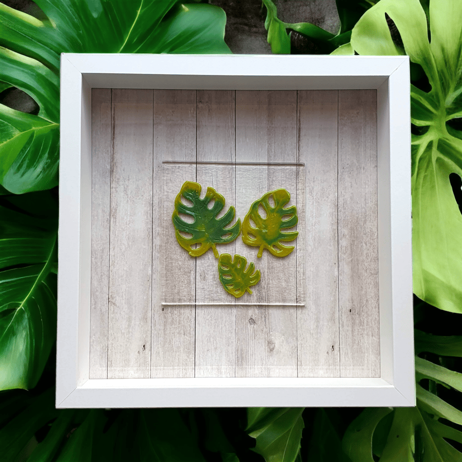 Fused Glass Monstera Leaves in Box Frame