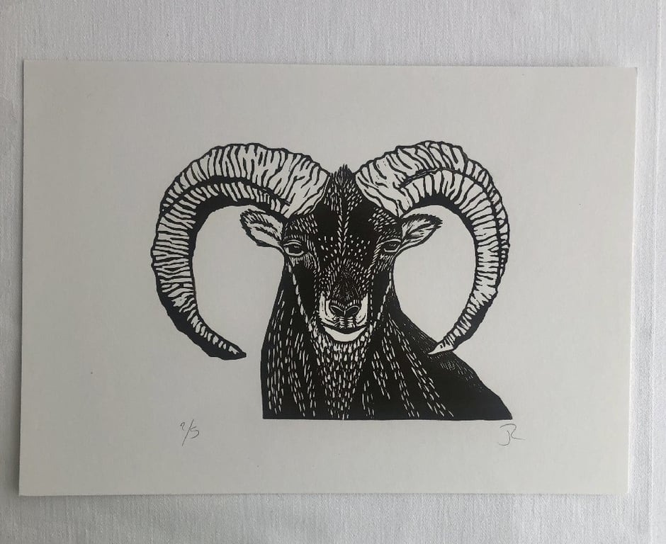 Dark Brown Ram