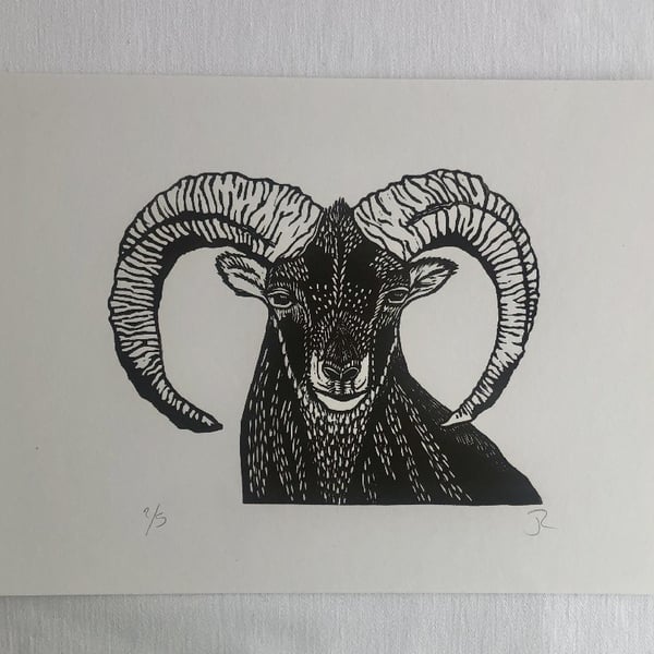 Dark Brown Ram