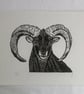 Dark Brown Ram