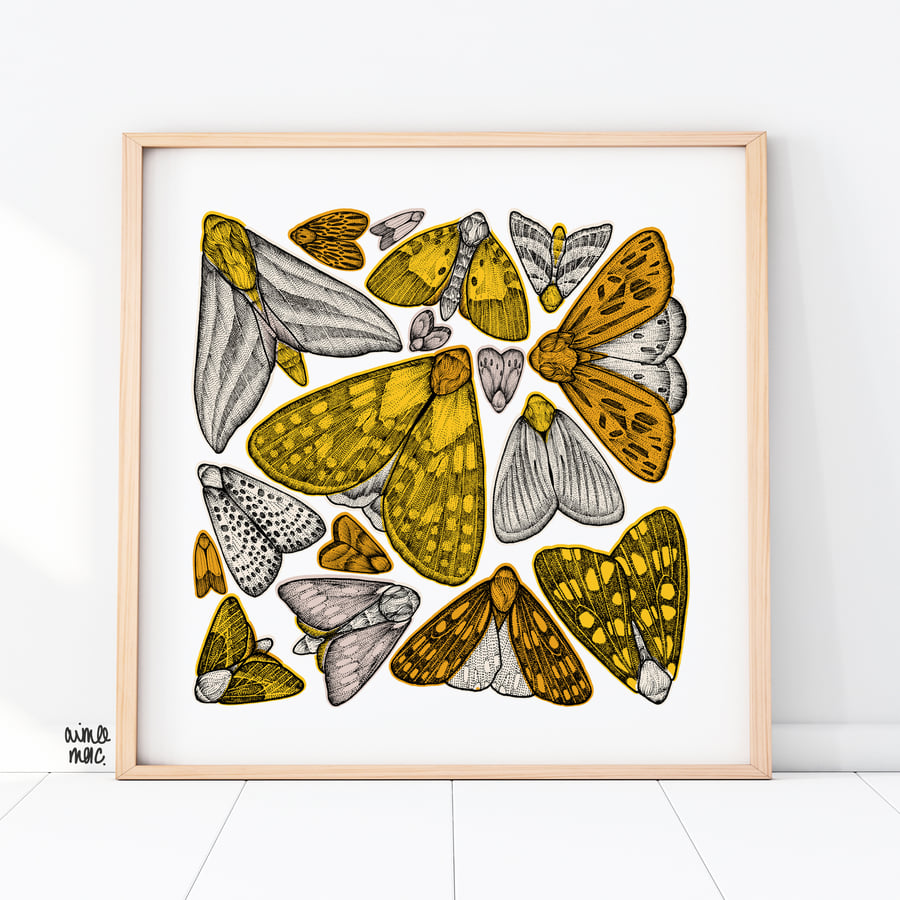 Yellow Moth Print - Moth Illustration - Moth Art - Insect Print - Nature Print
