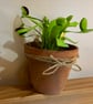 Venus flytrap scrap sculpture  - Image 2