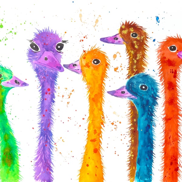 Colourful Ostriches  Greeting card 5" x 7" Heads in the Sand? Not Us!