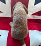 Autumn puppy - Image 3
