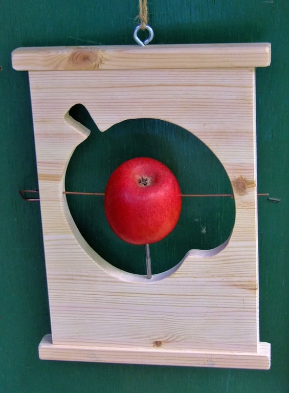 APPLE FOR THE TEACHER LEAVING PRESENT AT END OF SCHOOL YEAR APPLE BIRD FEEDER