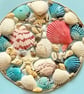 Framed Circular Seashell edged with Twine - Image 1