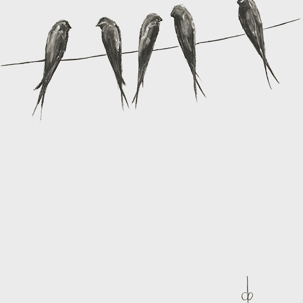 Swallows on a wire 03 A5 Art print