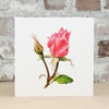 Blank Card Pink Rose Floral Card