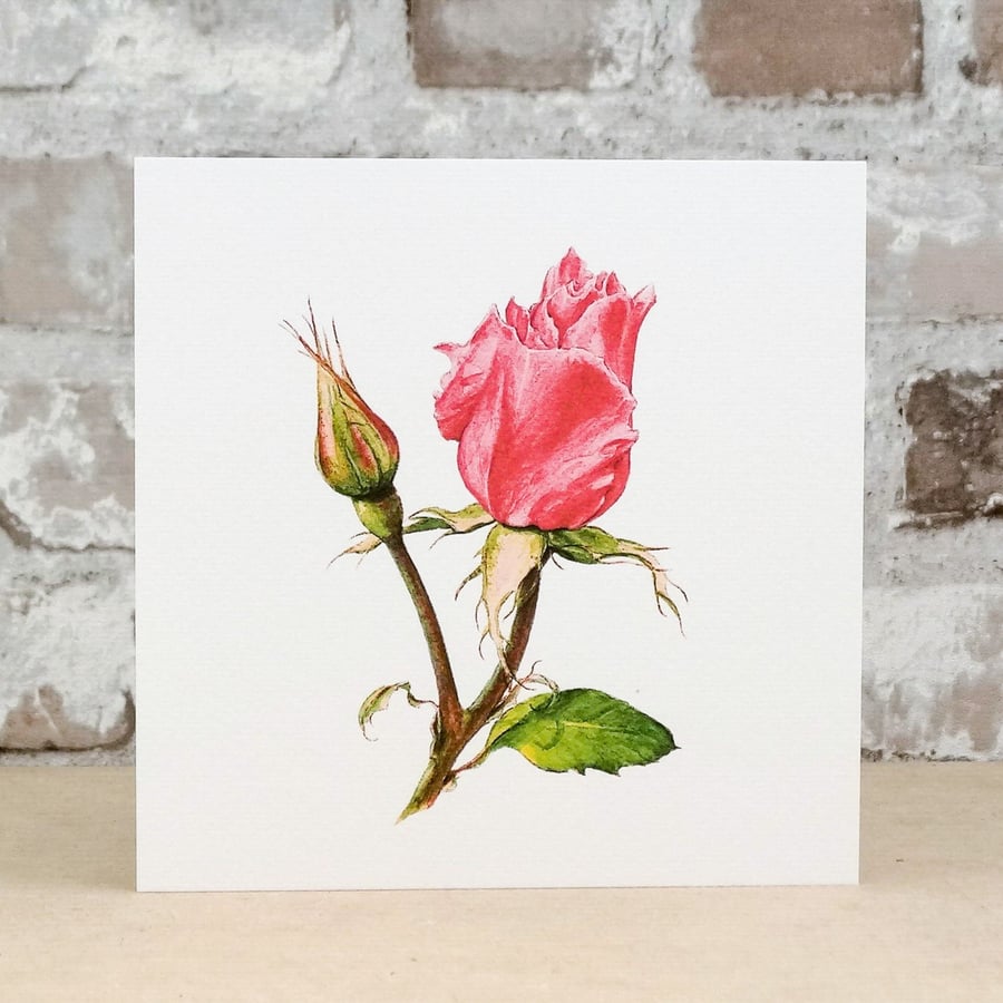 Blank Card Pink Rose Floral Card