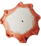 Dumbo Octopus Ceramic Sculpture - Handmade - Image 5