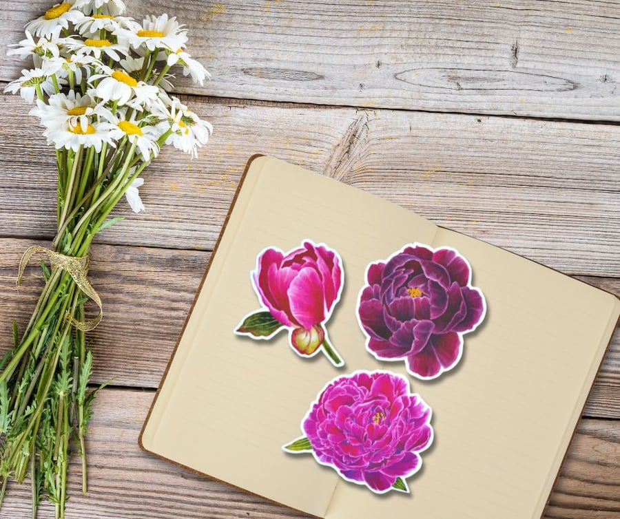 Peonies Floral Botanical Stickers