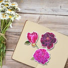 Peonies Floral Botanical Stickers
