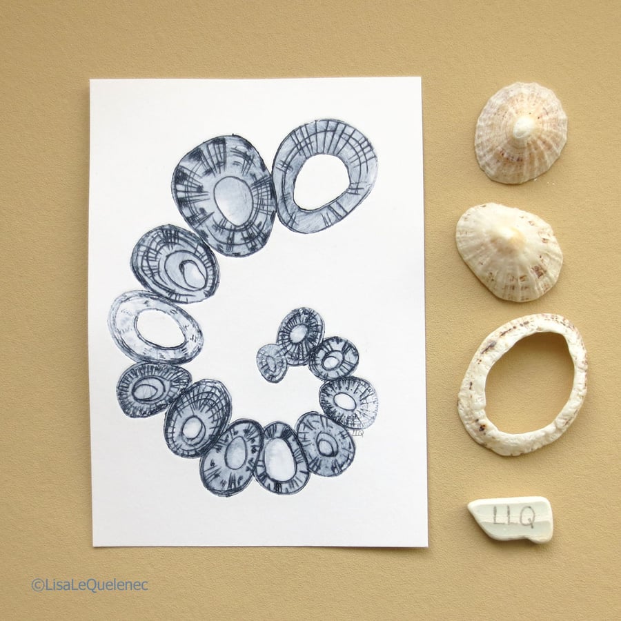Limpet sea shell spiral original drypoint etching mini print shell collection