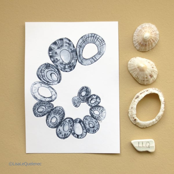 Limpet sea shell spiral original drypoint etching mini print shell collection