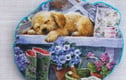 Wall Decorations