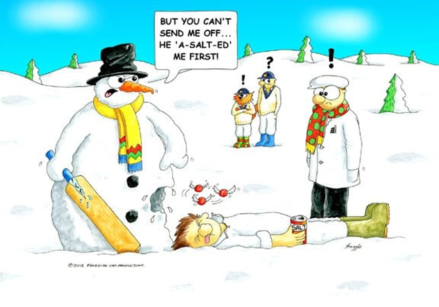 Cricket Christmas card.. Assault... Funny cartoon card   FREE UK P&P
