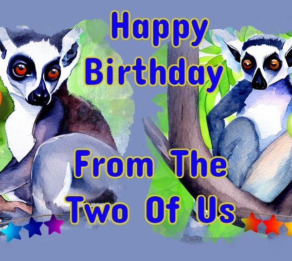 Happy Birthday From The Two of Us Lemurs Card