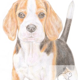 Betty the Beagle - Easter Card