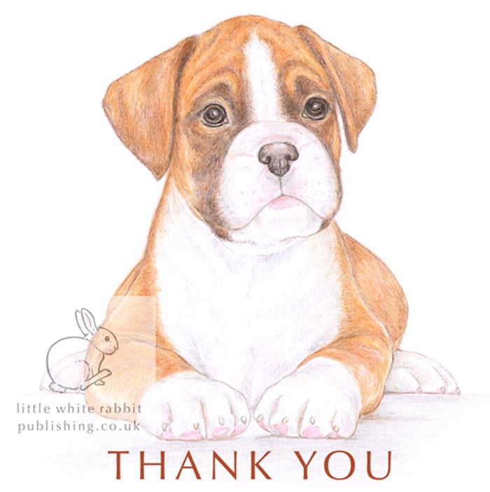 Jake the Boxer - Thank You Card