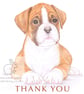 Jake the Boxer - Thank You Card - Image 1