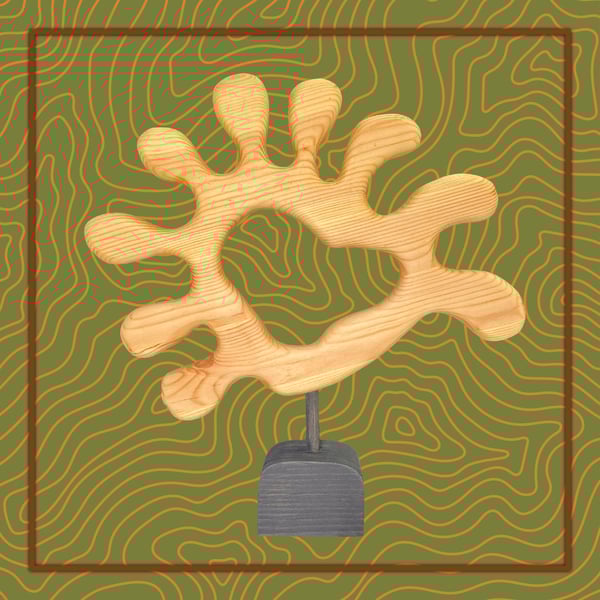 "Coral" - abstract wooden sculpture 