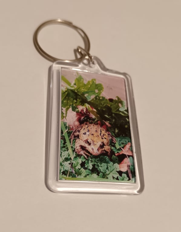 Frog themed photography keyring