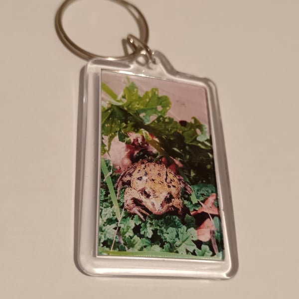 Frog themed photography keyring