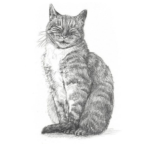Custom A5 Pet Portrait DRAWING