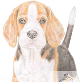 Betty the Beagle -Thank You Card