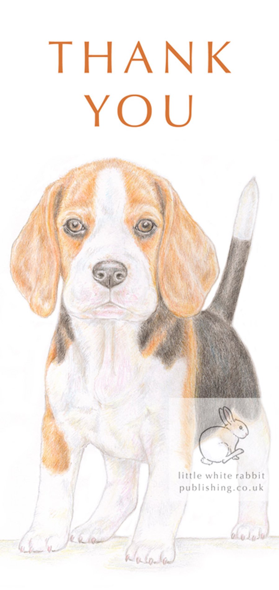 Betty the Beagle -Thank You Card