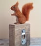 Oak Block - Red Squirrel - Image 2
