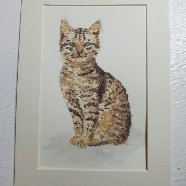 Original painting of Tabby Cat 
