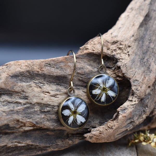 Hypoallergenic Real Pressed Flower Resin Earrings, Titanium Ear Hooks, Black