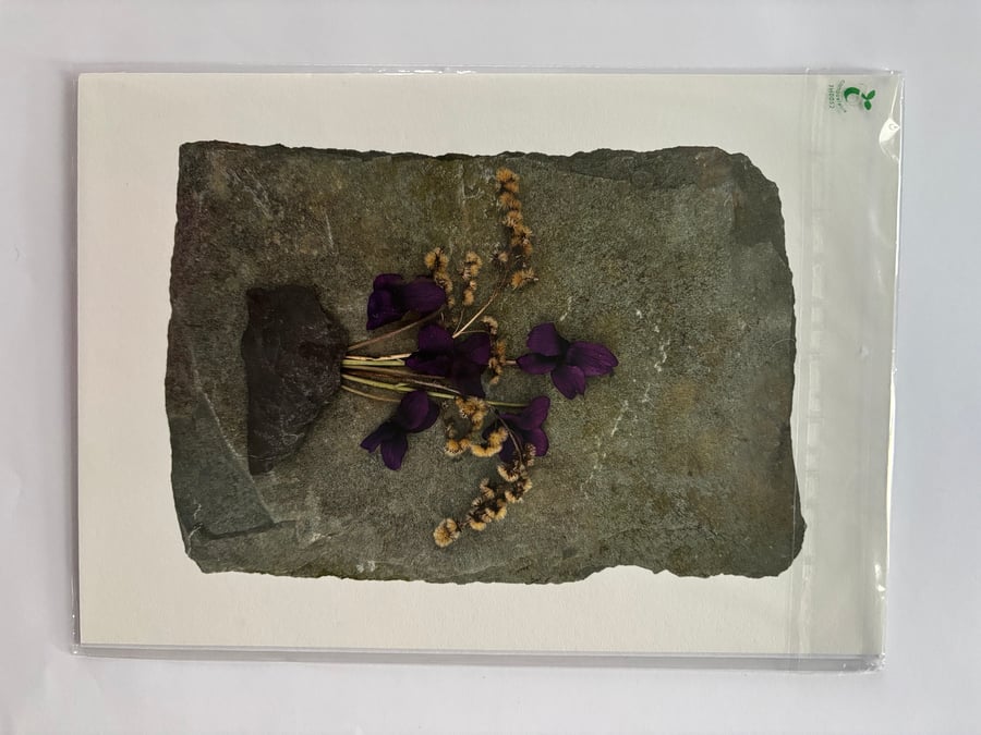 Purple Flowers on Slate Print