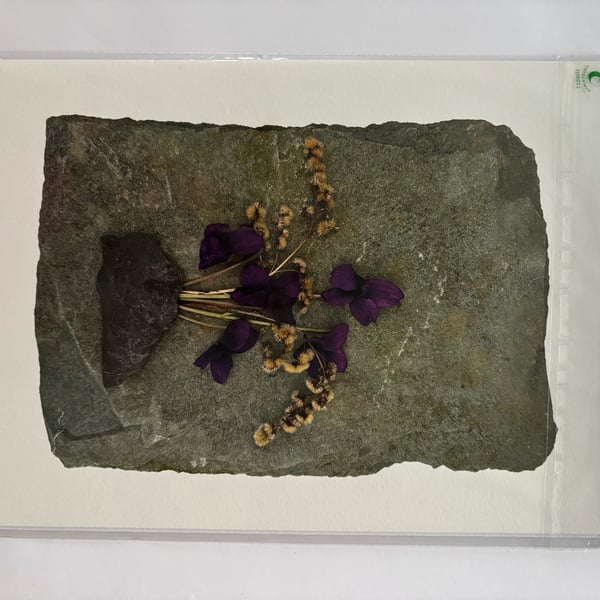 Purple Flowers on Slate Print