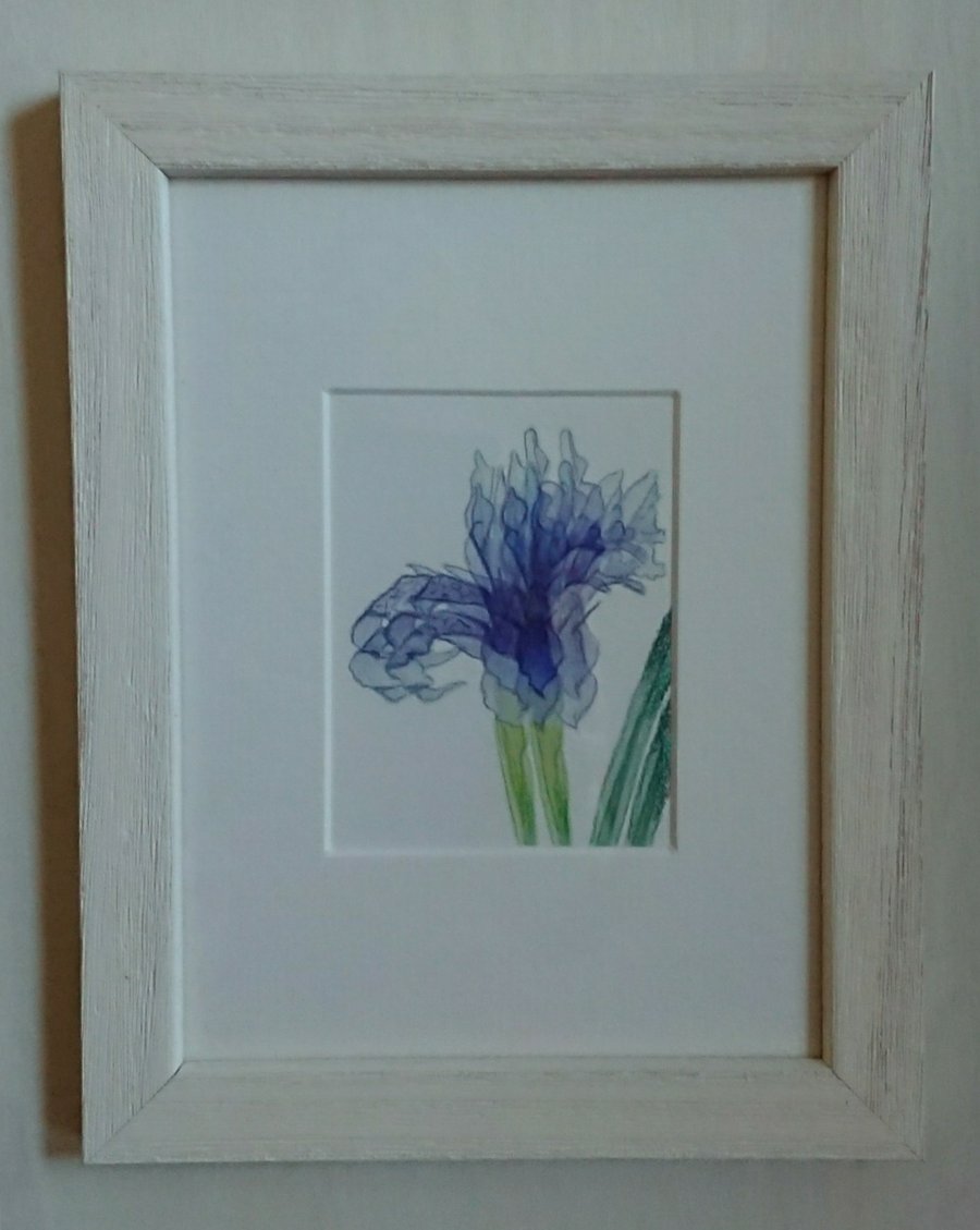 Blue Iris Flower small handmade picture in white frame